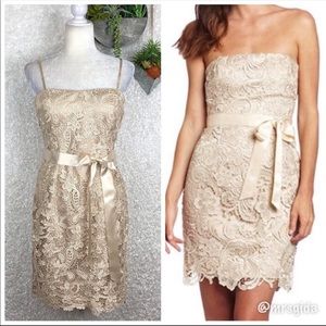 Adrianna Papell Champagne Lace Crochet Dress | 8